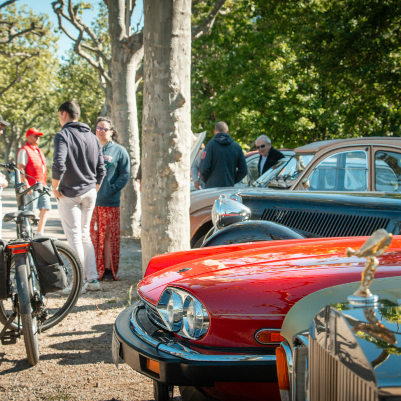 0017 retroviaduc 17 05 25