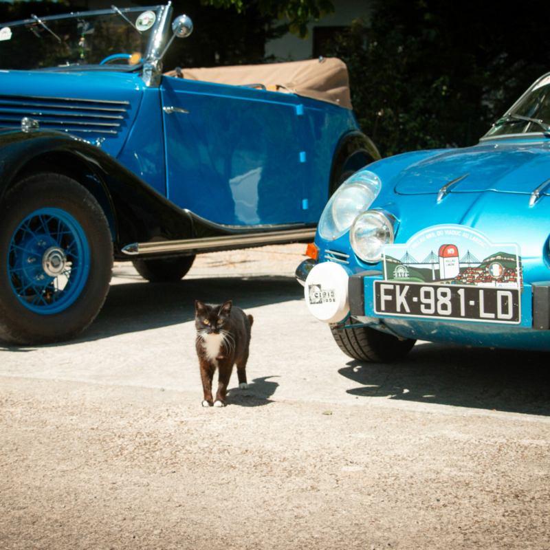 0044 retroviaduc 17 05 25