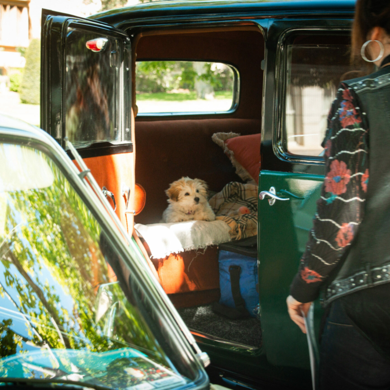 0056 retroviaduc 17 05 25