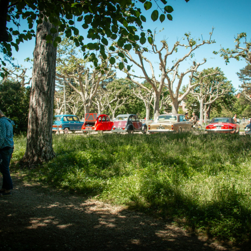 0071 retroviaduc 17 05 25