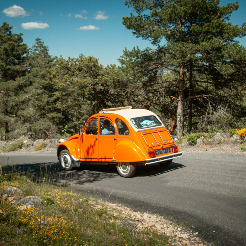 0106 retroviaduc 17 05 25