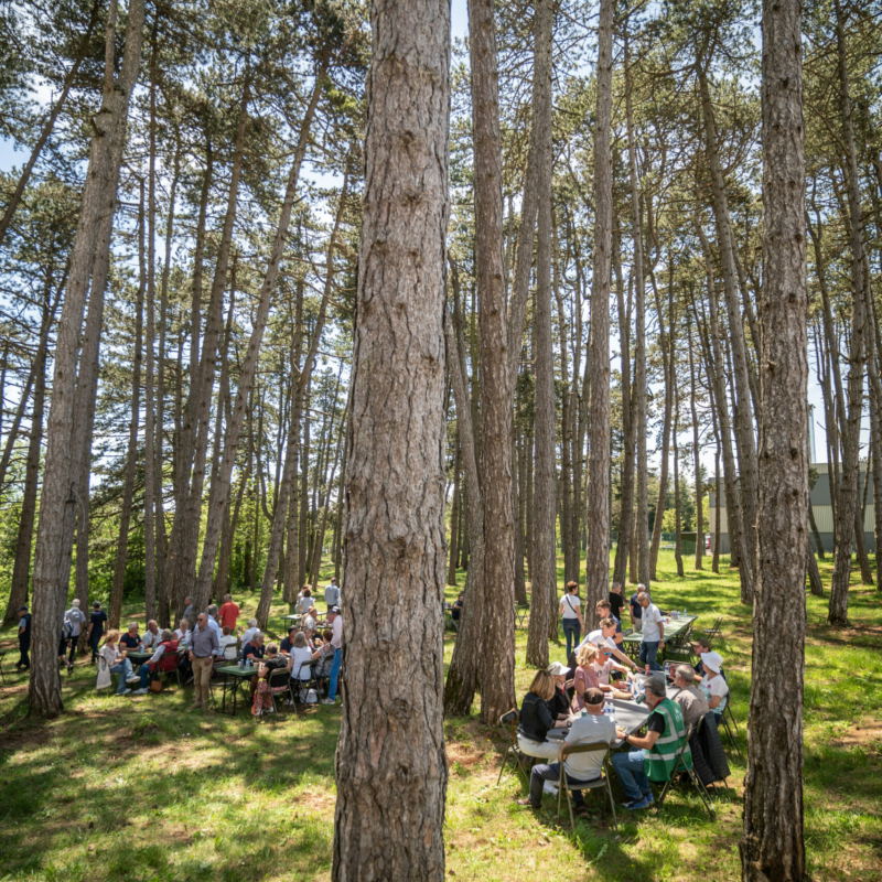 0557 retroviaduc 18 05 25