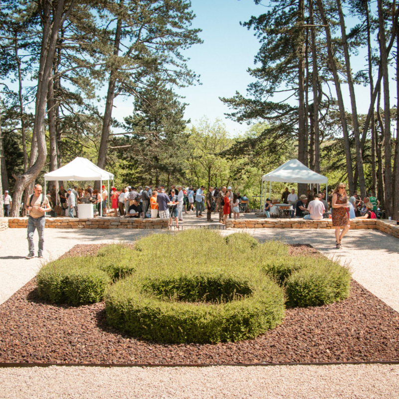 0585 retroviaduc 18 05 25