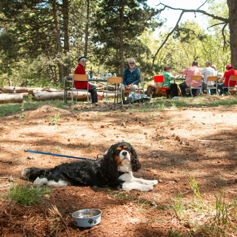 0590 retroviaduc 18 05 25