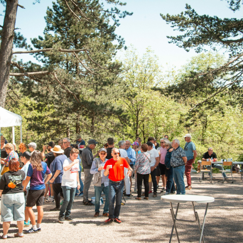 0594 retroviaduc 18 05 25